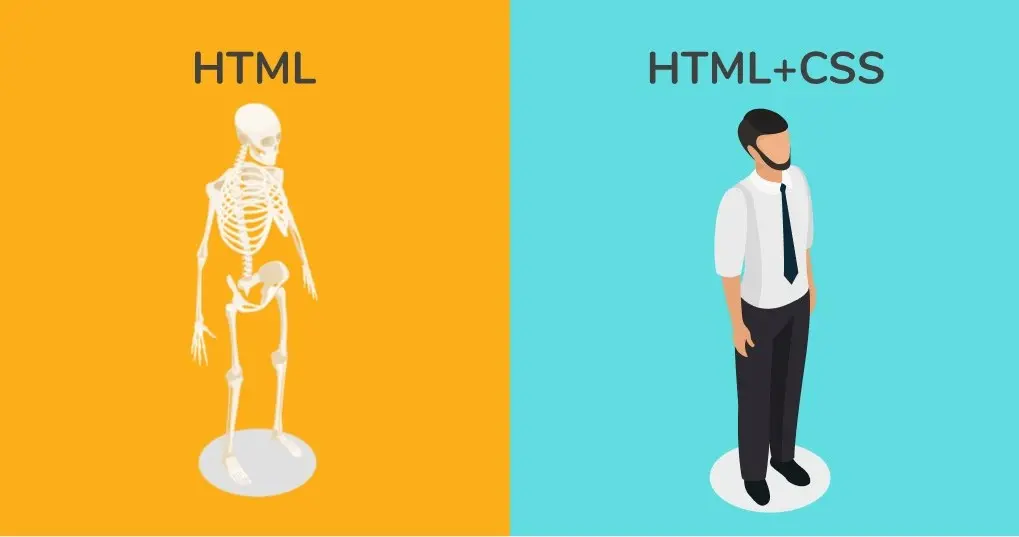 تفاوت بین HTML و CSS